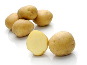 Caruso