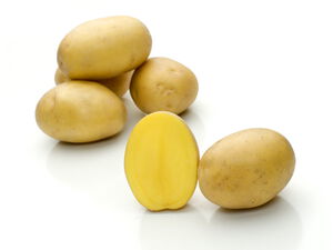 Belmonda