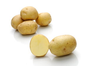 Verdi