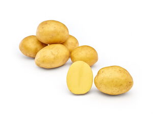 Small potatoes — Mundane Morsel
